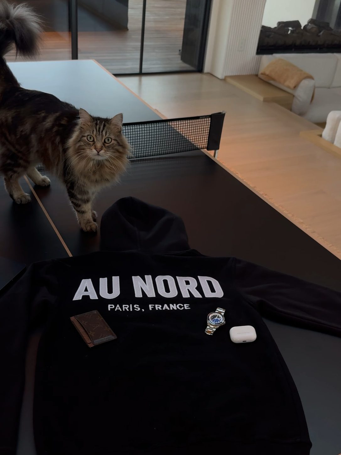 au nord hoodie — flat lay with cat